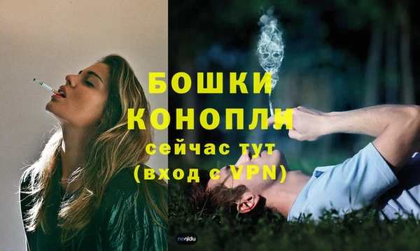 крисы Ладушкин