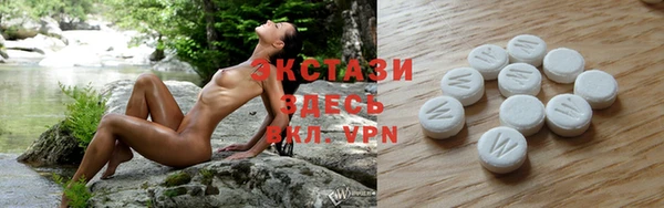 ECSTASY Лагань