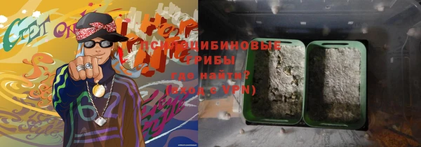 ECSTASY Лагань