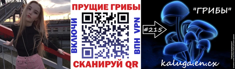 Купить закладки  Железногорск-Илимский  Галлюциногенные грибы Magic Shrooms 